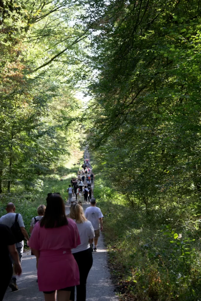 Toujours dans la forêt