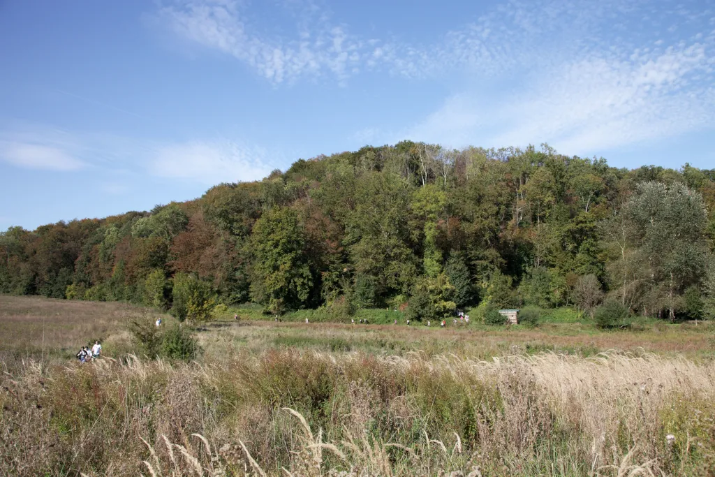 Le parcours dans les champs