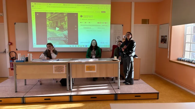 Stages humanitaires